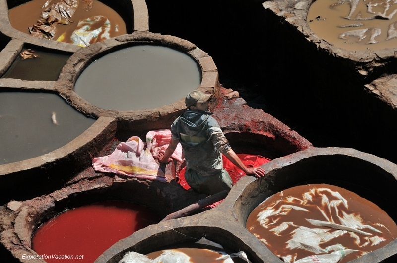 Tannery in Fes Morocco -27 DSC_1641