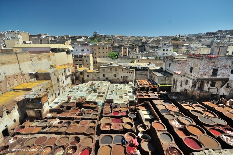 Tannery in Fes Morocco -8 DSC_1676