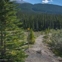 Photo of beginning of Beauty Creek trail in Jasper National Park, part of the Canadian Rocky Mountain Parks UNESCO World Heritage site © Cindy Carlsson ExplorationVacation.net