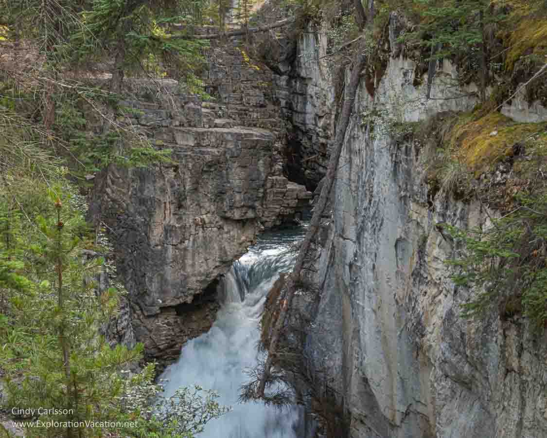 Photo of Beauty Creek in Jasper National Park, part of the Canadian Rocky Mountain Parks UNESCO World Heritage site &copy; Cindy Carlsson ExplorationVacation.net
