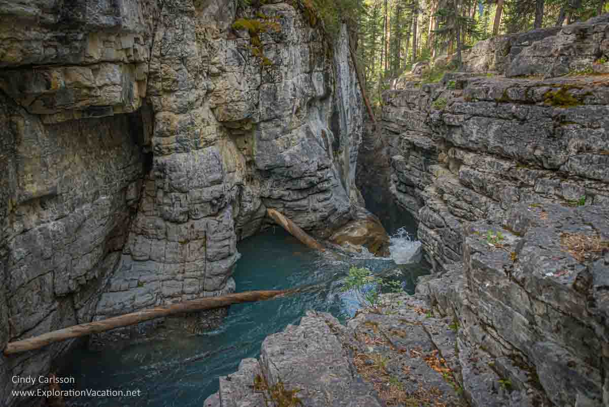 Beauty Creek in Jasper National Park - ExplorationVacation