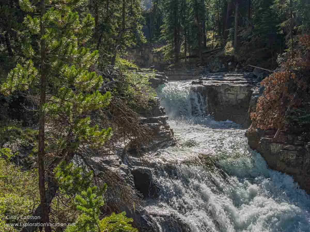 Photo of Beauty Creek in Jasper National Park, part of the Canadian Rocky Mountain Parks UNESCO World Heritage site &copy; Cindy Carlsson ExplorationVacation.net