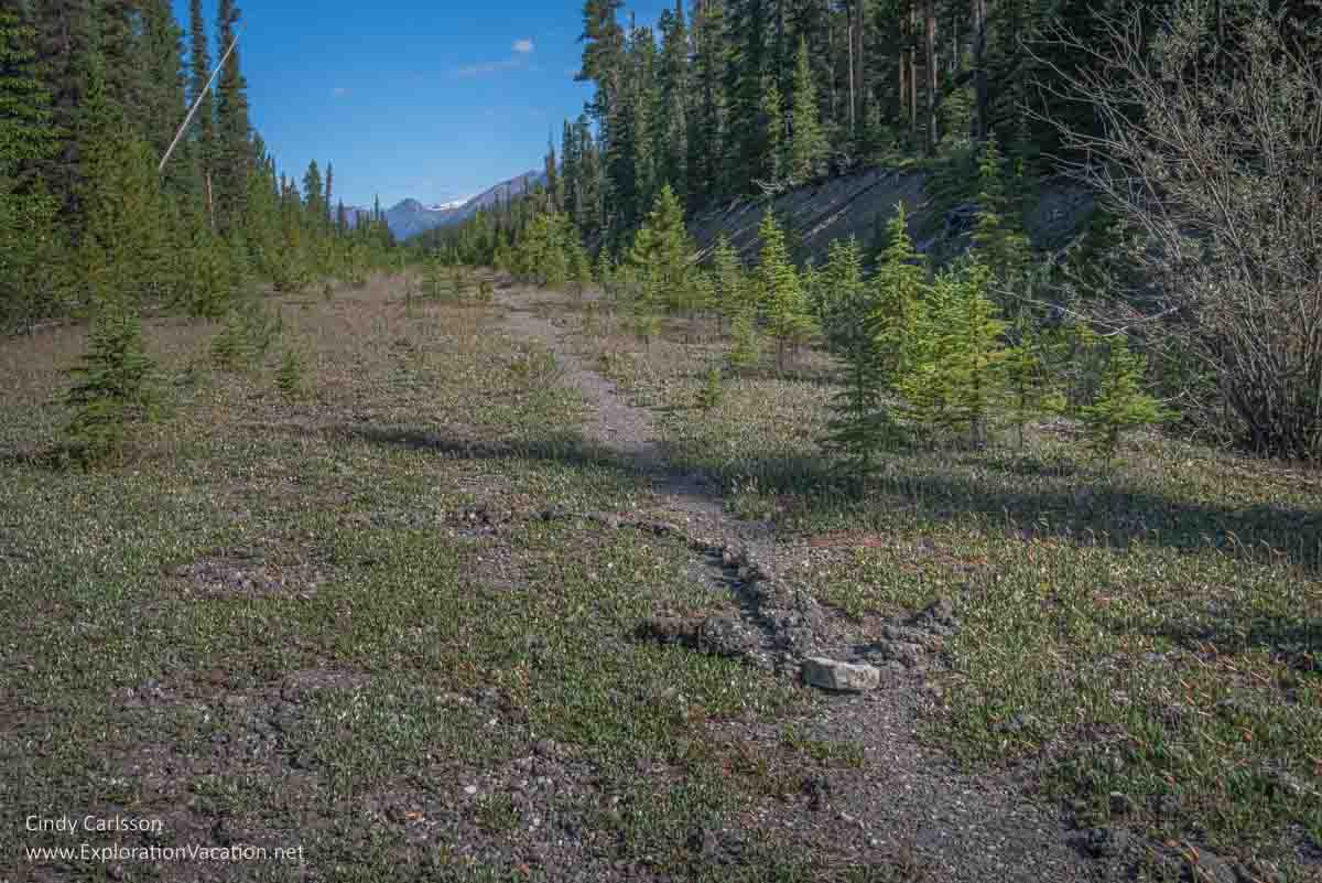 Photo of stones forming an arrow on the hiking trail to Beauty Creek in Jasper National Park, part of the Canadian Rocky Mountain Parks UNESCO World Heritage site &copy; Cindy Carlsson ExplorationVacation.net
