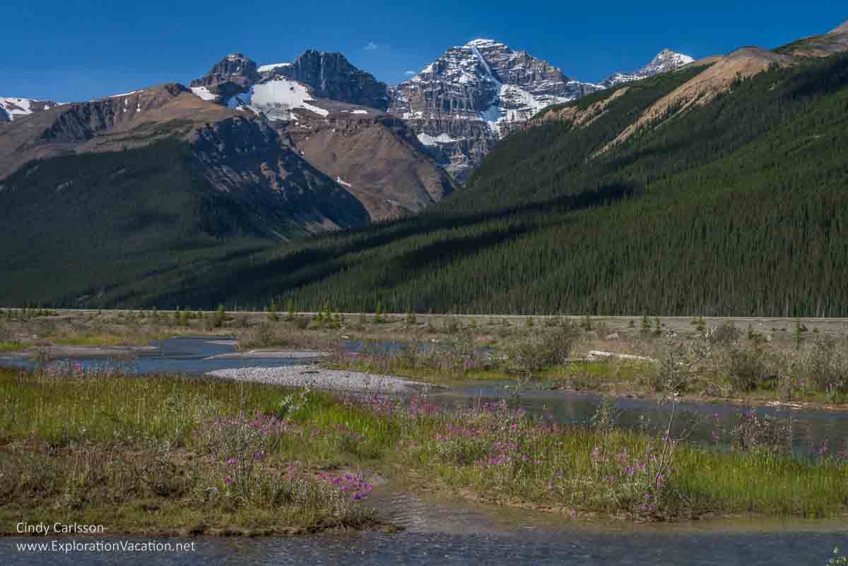 Photo of marsh and mountains near the beginning of the Beauty Creek trail in Jasper National Park, part of the Canadian Rocky Mountain Parks UNESCO World Heritage site &copy; Cindy Carlsson ExplorationVacation.net