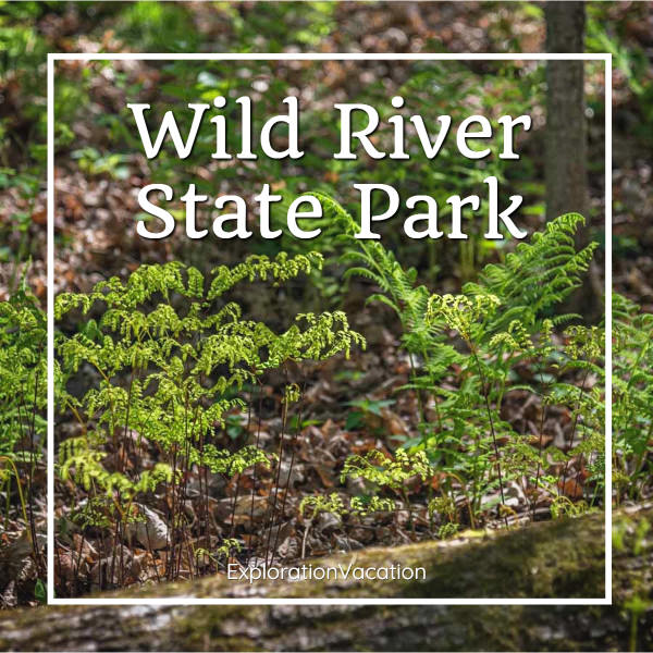 Link to story and pictures on spring in Minnesota's Wild River State Park on ExplorationVacation.net.