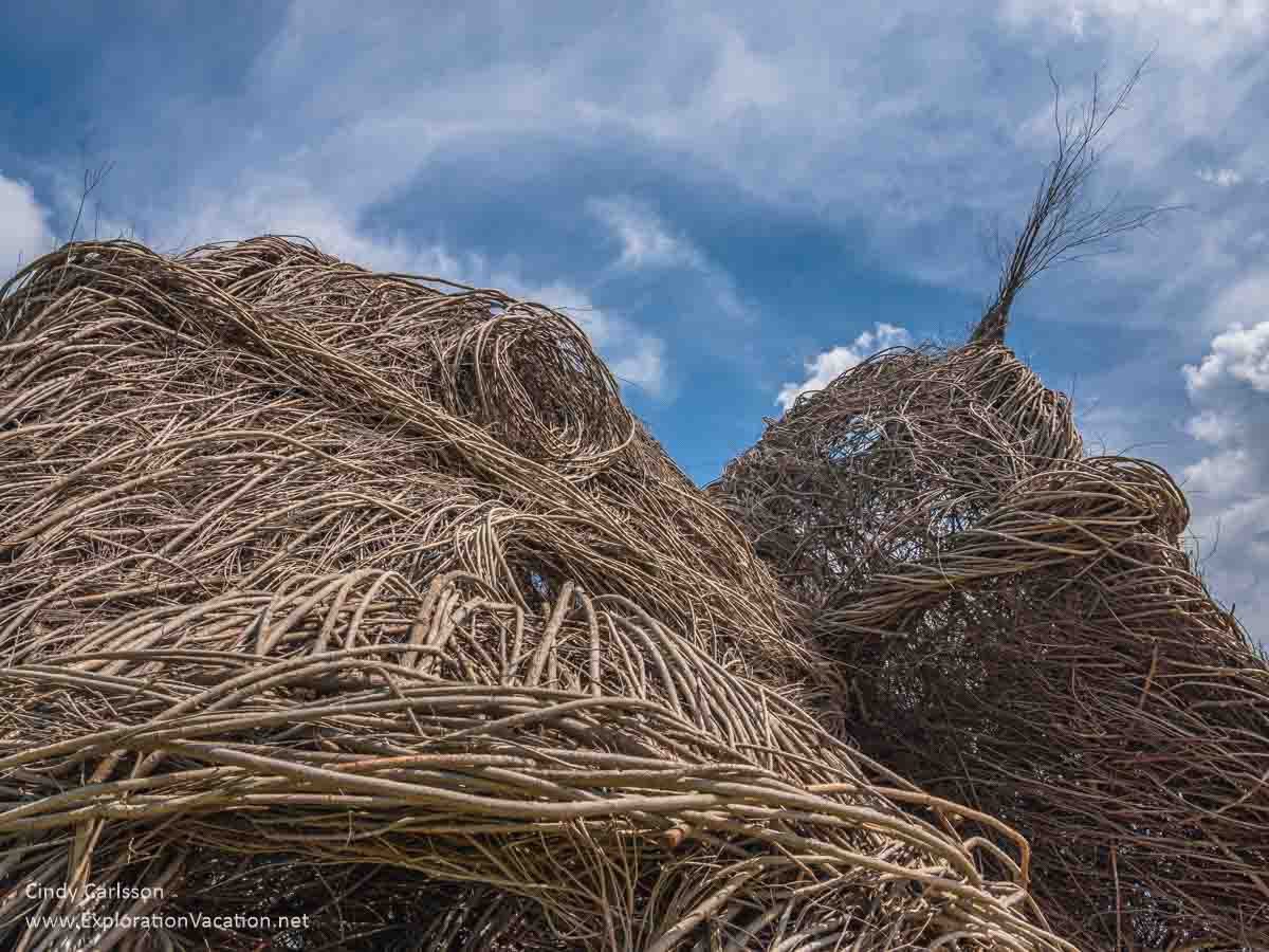 top of a structure built of twigs or sticks