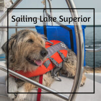dog with a life jacket on a sailboat