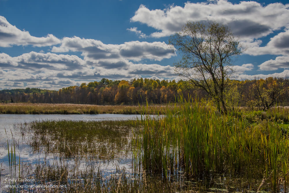 Fall in Kathio Mille Lacs State Park 