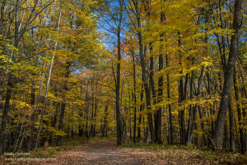 Fall in Kathio Mille Lacs State Park 