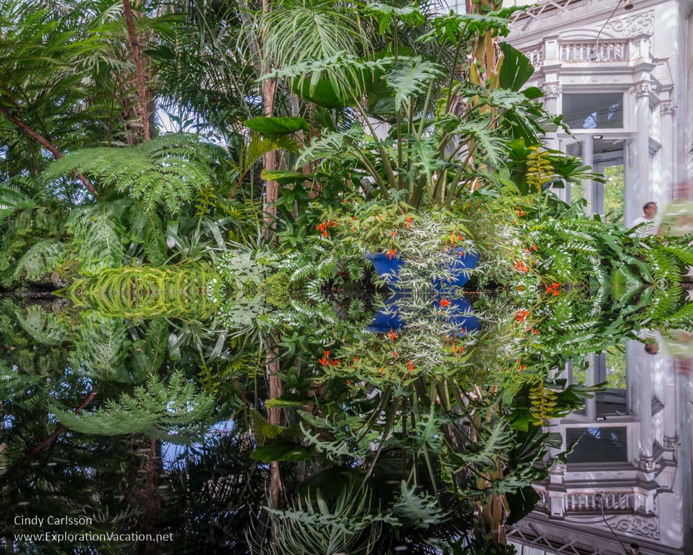 reflecting pool New York Botanical Garden