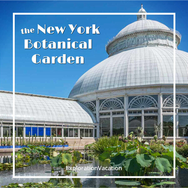 photo of a Victorian conservatory and waterlily pond with text "The New York Botanical Garden"