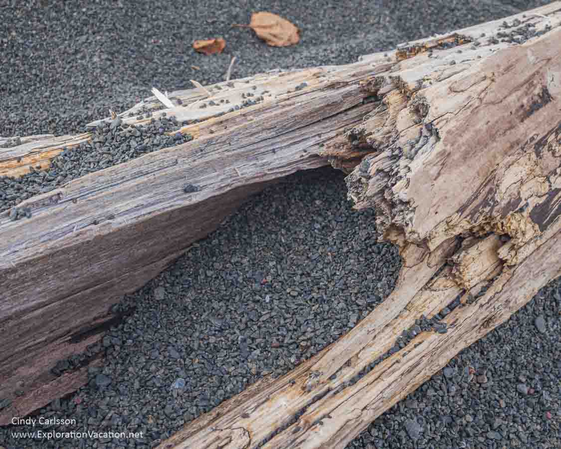 Photo of a log with fine, dark-colored gravel at Black Beach in Silver Bay Minnesota © Cindy Carlsson at ExplorationVacation.net