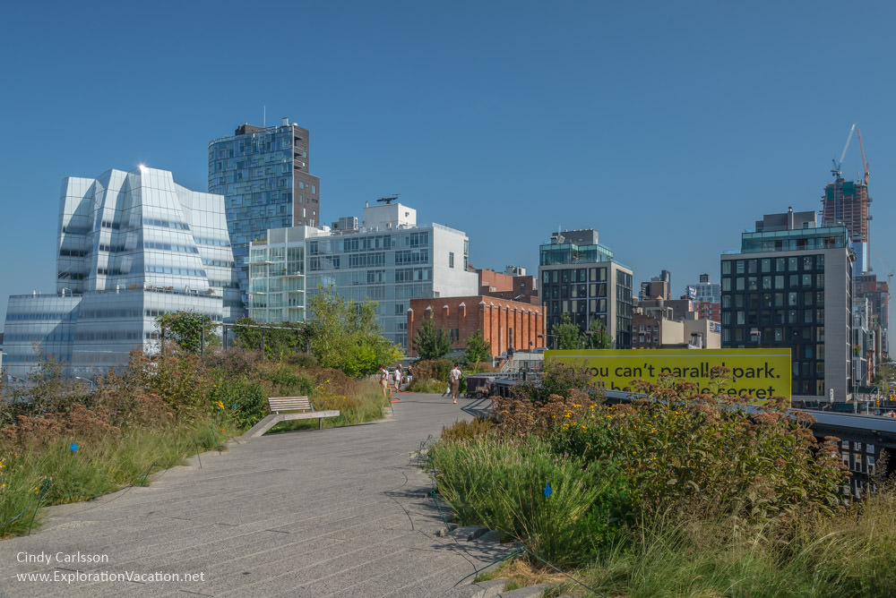 expanse with skyscrapers along the High Line