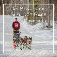 photo of a dogsled team on a wooded trail at the John Beargrease Sled Dog Race in Northern Minnesota © Cindy Carlsson at ExplorationVacation.net