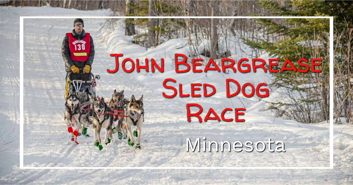 photo of a dogsled team on a wooded trail at the John Beargrease Sled Dog Race in Northern Minnesota © Cindy Carlsson at ExplorationVacation.net