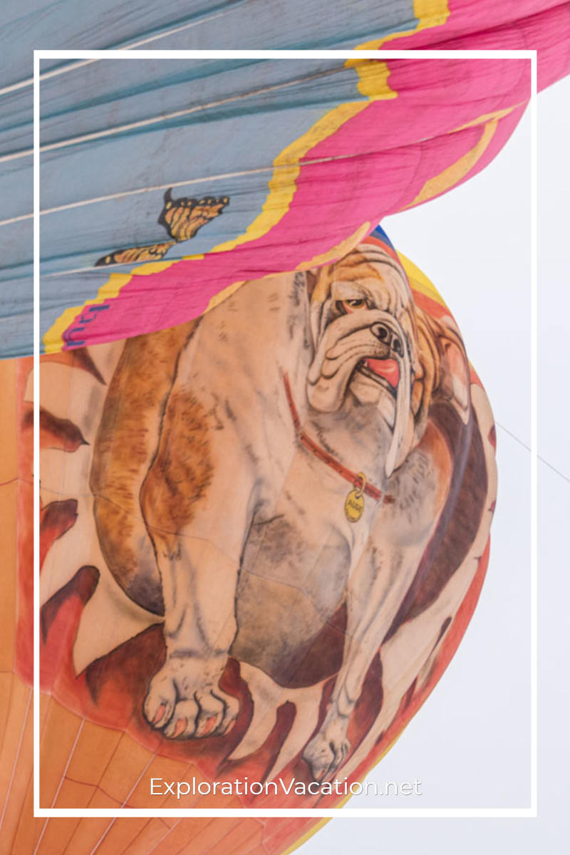 hot air balloon with painting of a bulldog 