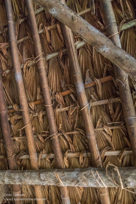 inside of thatch roof