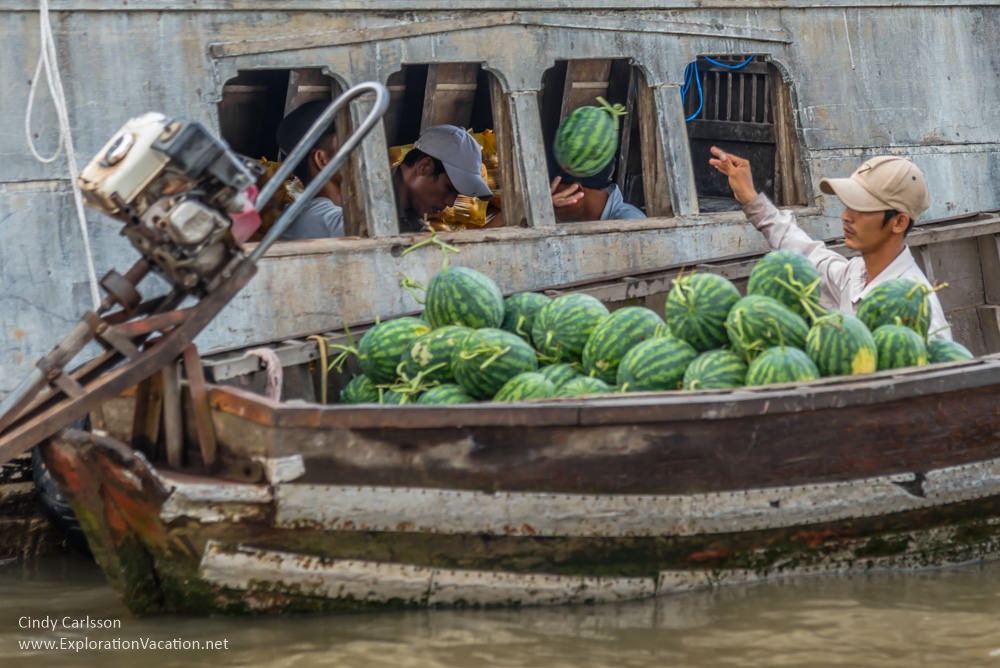 watermelon transfer Cai Rang market Mekong Delta Vietnam