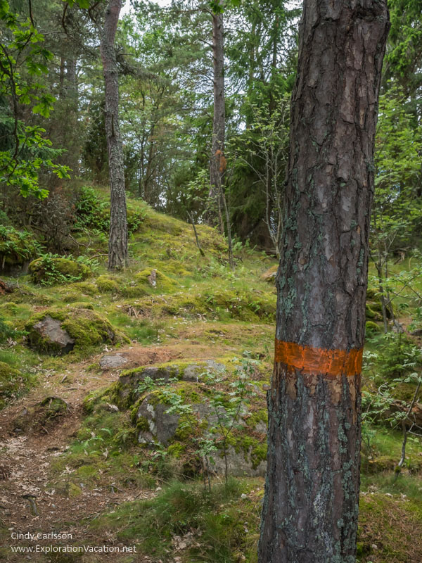 Stendörren Nature Reserve Sweden - www.ExplorationVacation.net