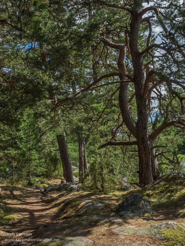 Stendörren Nature Reserve Sweden - www.ExplorationVacation.net