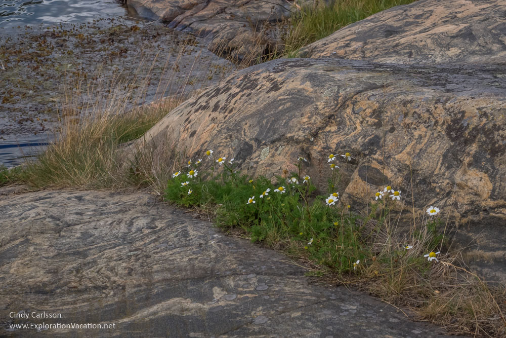 Stendörren Nature Reserve Sweden - www.ExplorationVacation.net
