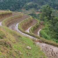 Terraces Northern Vietnam road trip - ExplorationVacation