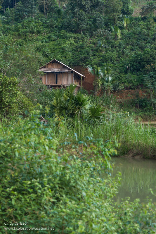 palm village Northern Vietnam road trip - ExplorationVacation