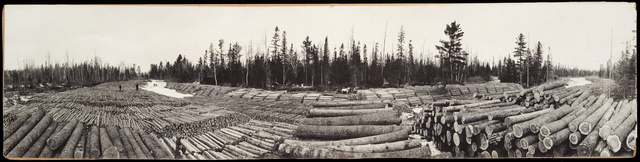 Logs on the Big Fork river - MNHS photo