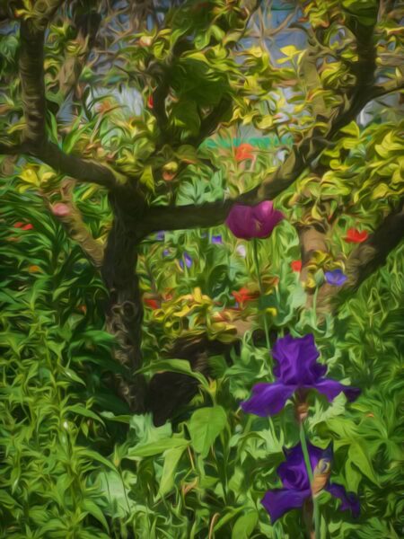 In Monet's garden