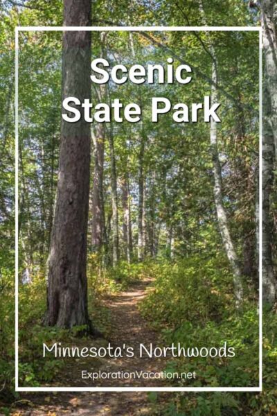 forest trail with text "Scenic State Park"