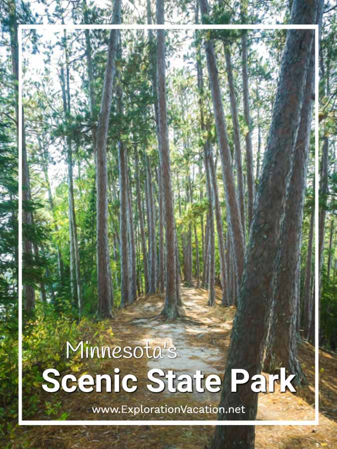 forest trail with text "Scenic State Park"