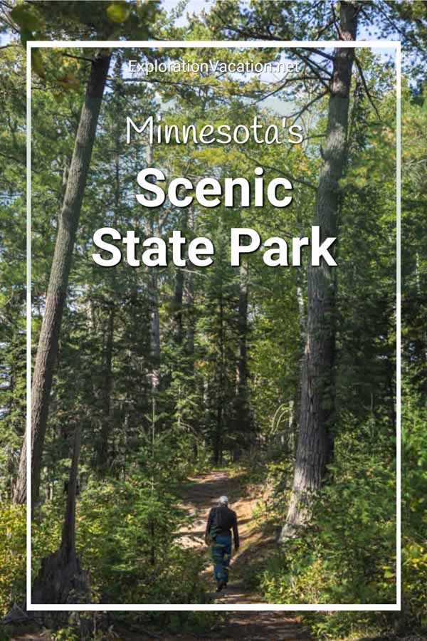 forest trail with text "Scenic State Park"