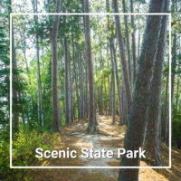 link to posts on Scenic State Park in Minnesota