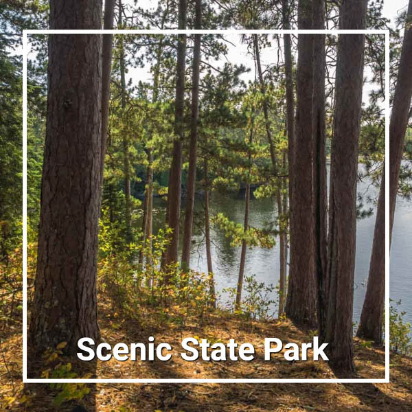 forest trail above water with text "Scenic State Park"