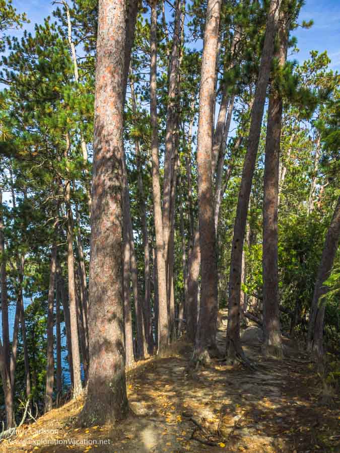 Scenic State Park in northern Minnesota - www.ExplorationVacation.net