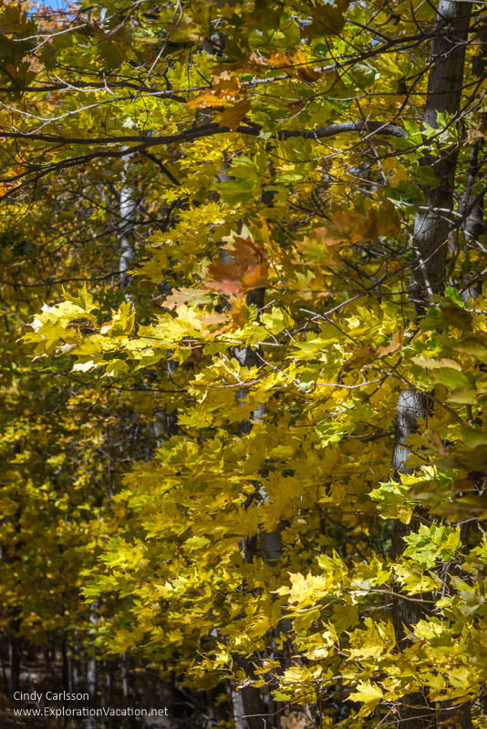 Fall in Minnesota's Frontenac State Park - www.ExplorationVacation.net