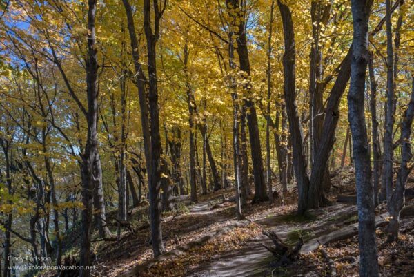 Falling for fall in Minnesota’s Frontenac State Park - Exploration Vacation