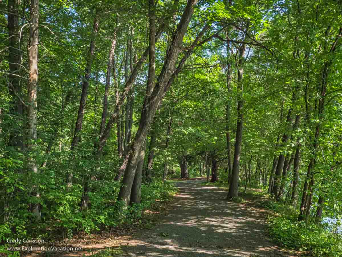 photo of a shady trail through the woods at Minnesota's William O'Brien State Park &copy; Cindy Carlsson at ExplorationVacation.net