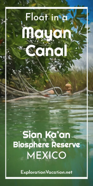 person floating in a tropical canal Mayan Canal Float Sian Ka'an Biosphere Reserve Tulum Mexico