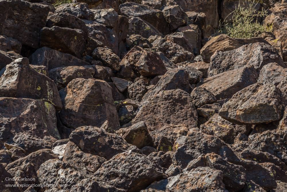 Deer Valley Petroglyph Preserve protects ancient rock art in Phoenix Arizona USA - ExplorationVacation.net
