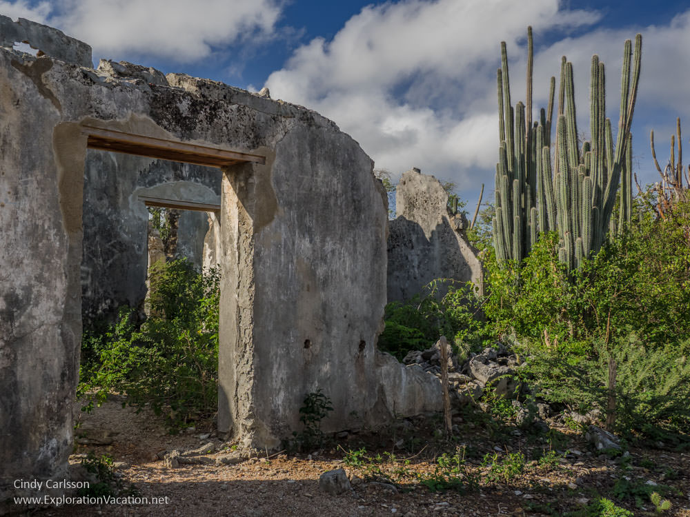 Zorgvlied Ruins in Christoffel National Park Curacao - ExplorationVacation.net
