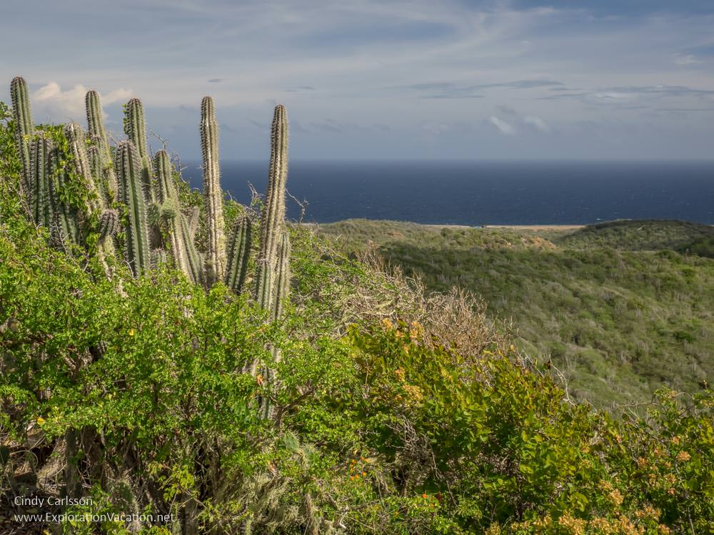Scenic views along the Mountain Route in Christoffel National Park Curacao - ExplorationVacation.net