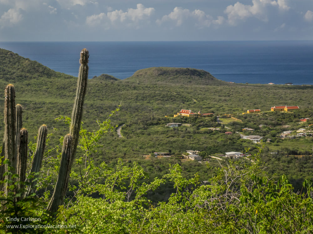 Plantation Knip scenic view along the Mountain Route in Christoffel National Park Curacao - ExplorationVacation.net