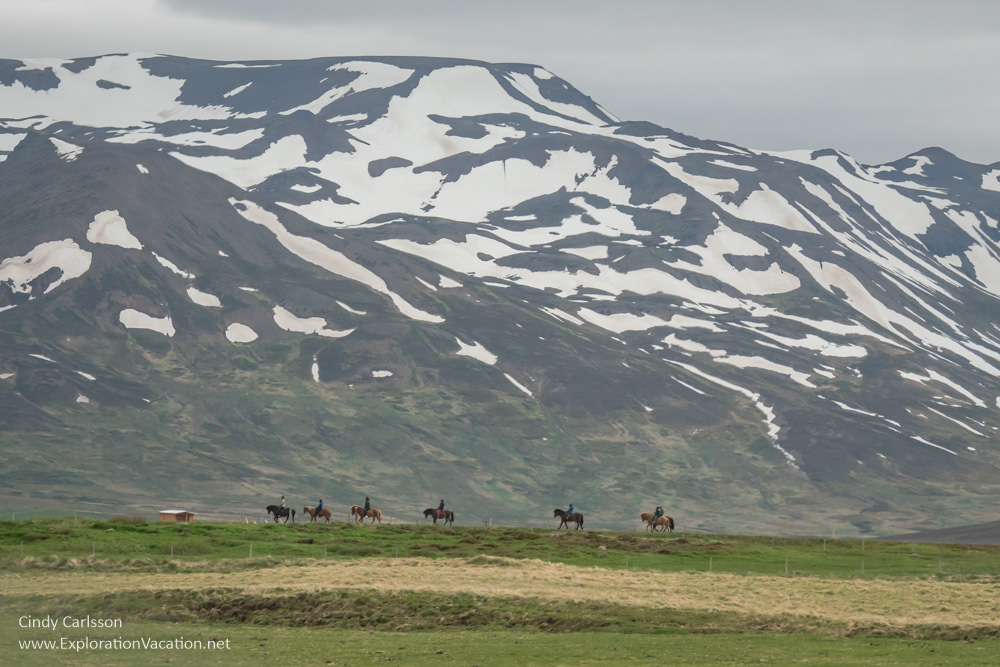 Icelandic horses and riders in front of a large mountain