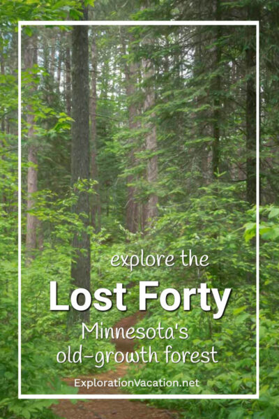 Lost 40 Minnesota: How This Pristine Forest Was Saved by a Mapping