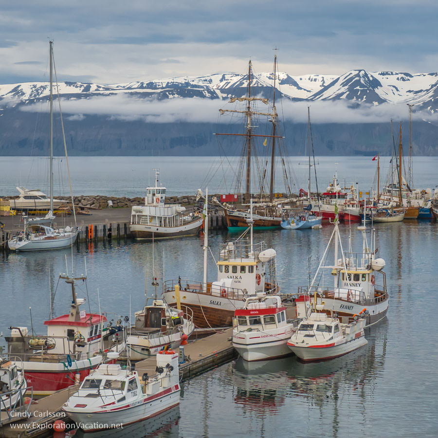 boats in the harbor in H&uacute;sav&iacute;k 
