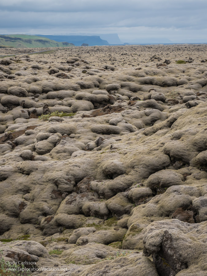 a landscape of moss-covered boulders
