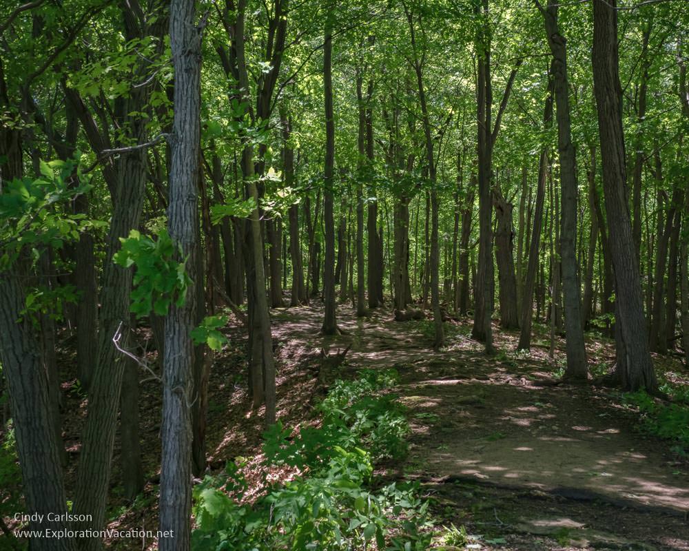 photo of a shady path through leafy green trees at Great River Bluffs State Park in southeastern Minnesota © Cindy Carlsson at ExplorationVacation.net