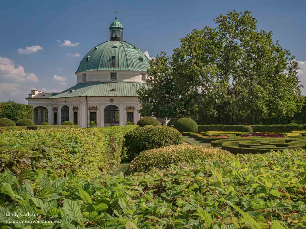 shrubbery of various heights with the rotunda in the background