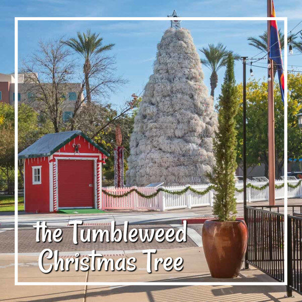 Link to story and photos of the Tumbleweed Christmas Tree in Chandler, Arizona, on ExplorationVacation.net.